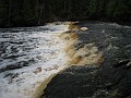 Mackinaw Island Area May 2008 1117